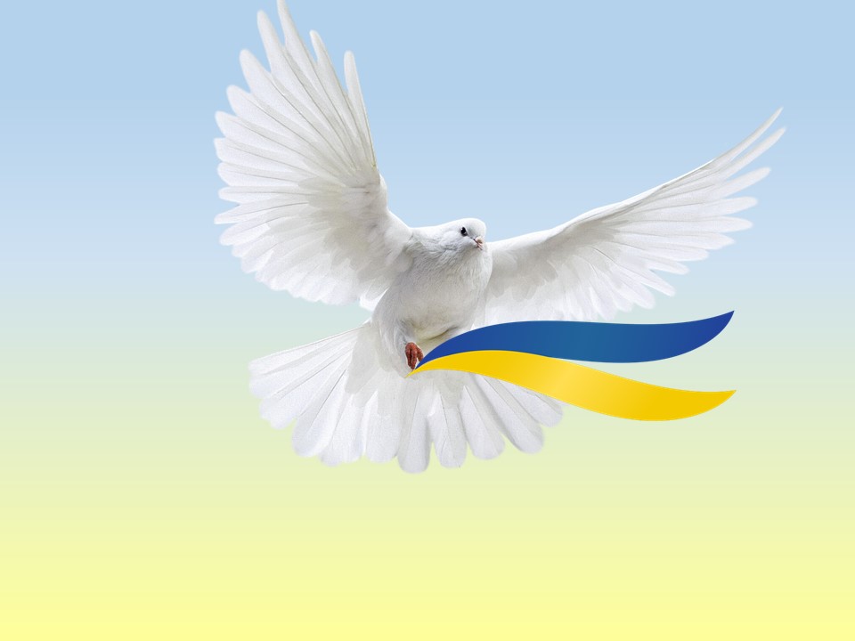 mir